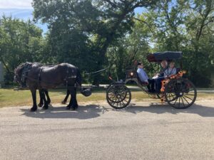 image of Blue Moon Carriage horse drawn carriage decked out for fall rides