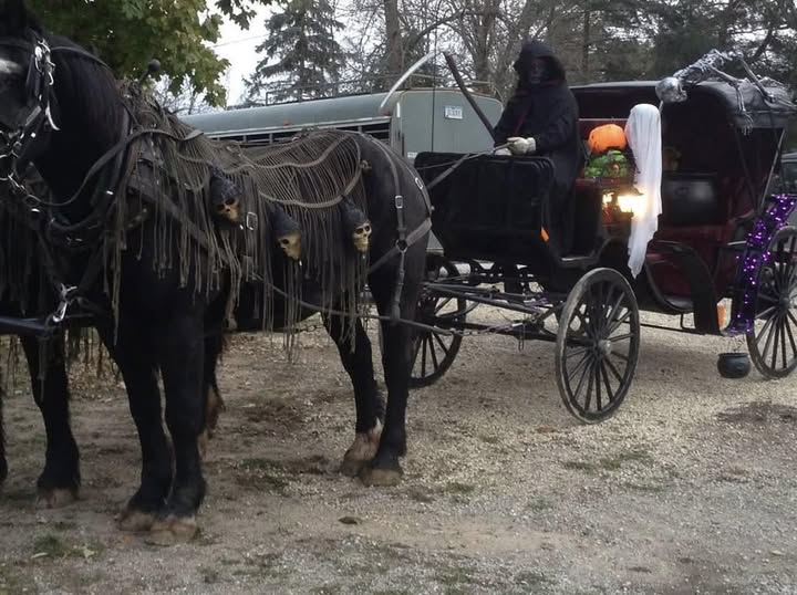 image of a Halloween themed black horse drawn carriage