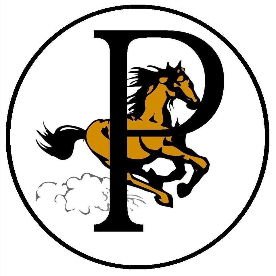 logo for the Palomino Band out of Cedar Rapids Iowa